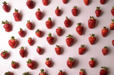 arka plan çilek, birçok kırmızı olgun çilek. Gıda arka plan