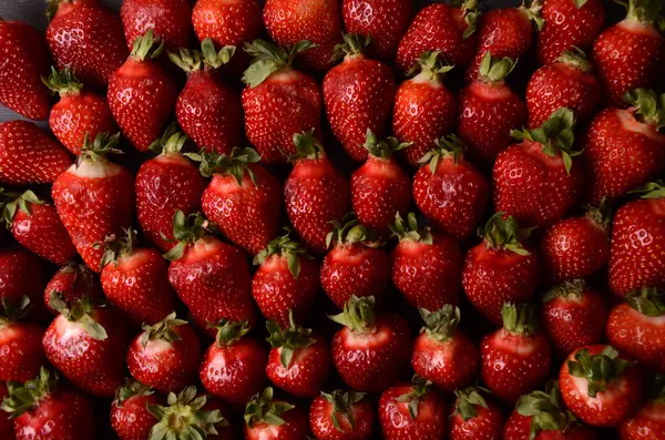 La fresa - el marco completo.el fondo de las fresas, muchas fresas rojas maduras. antecedentes alimentarios —  Fotos de Stock