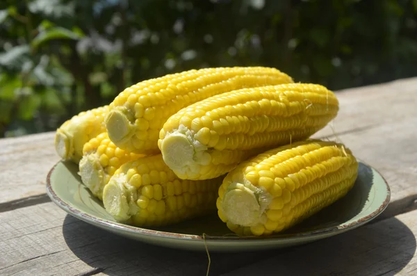 Fresh yellow sweet corn on wooden table — Stock Photo, Image