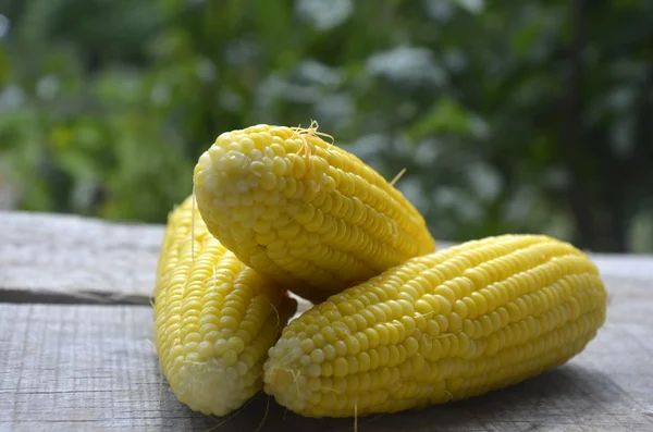 Fresh yellow sweet corn on wooden table — Stock Photo, Image