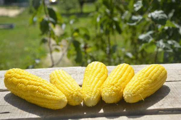 Fresh yellow sweet corn on wooden table — Stock Photo, Image