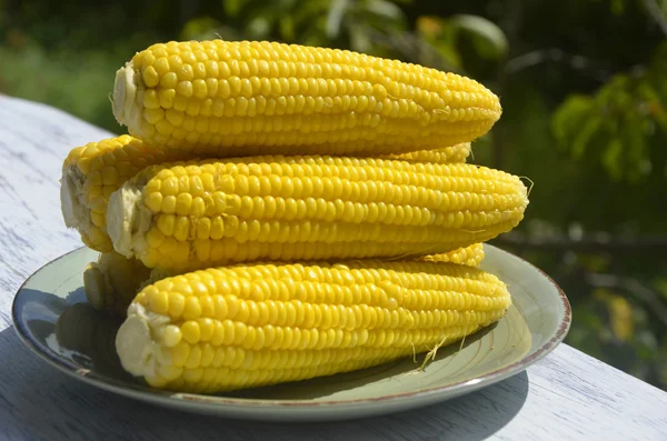 Fresh yellow sweet corn on wooden table — Stock Photo, Image