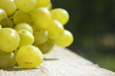 Yeşil arka planda olgun beyaz üzümler