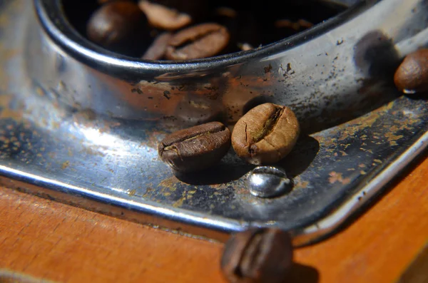 Moulin à café vintage et haricots sur fond en bois — Photo