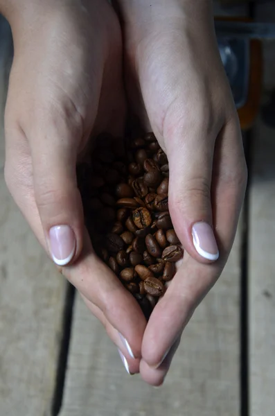 Granos de café en manos sobre fondo de madera — Foto de Stock