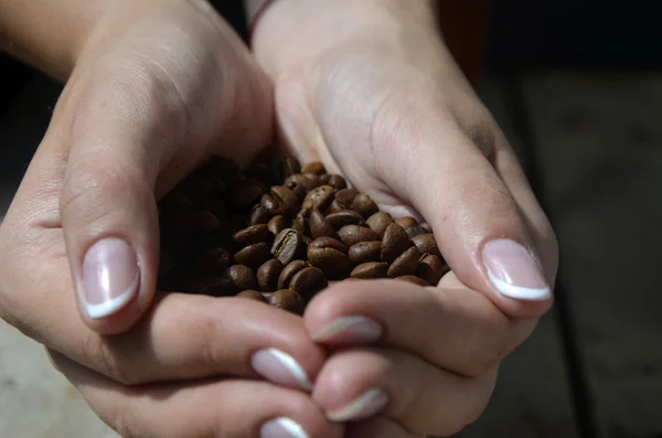 Grãos de café nas mãos sobre fundo de madeira — Fotografia de Stock