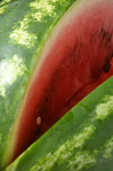 Färsk skivad vattenmelon trä bakgrund — Stockfoto