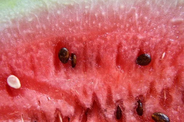 Close up red watermelon texture — Stock Photo, Image