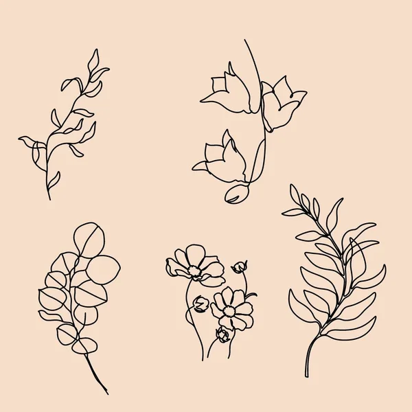 Continuous Line Drawing Set Van Planten Zwarte Schets Van Bloemen — Stockvector