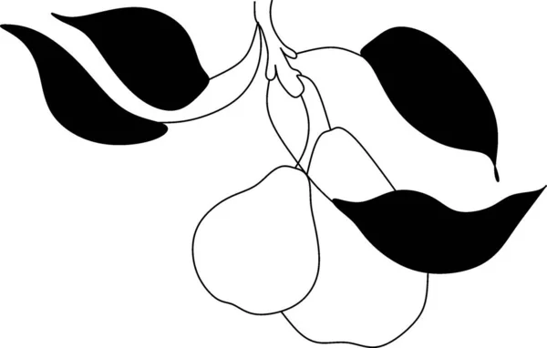 Stilisierte Zeichnung Von Birne Kontinuierliche Linienzeichnung — Stockvektor