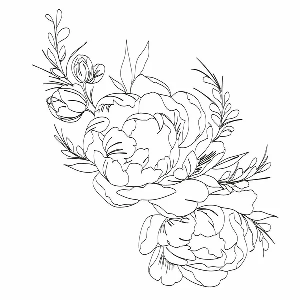 Peony Line Teckningen Flower Line Art Vektor Pioner Botaniska Logotypen — Stock vektor