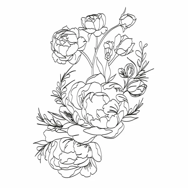 Dibujo Peony Line Flor Línea Arte Vector Peonías Logo Botánico — Archivo Imágenes Vectoriales