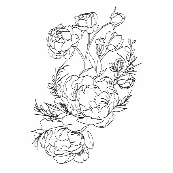 Peony Line Dessin Flower Line Vecteur Art Pivoines Logo Botanique — Image vectorielle