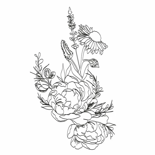 Peony Line Teckningen Flower Line Art Vektor Pioner Botaniska Logotypen — Stock vektor