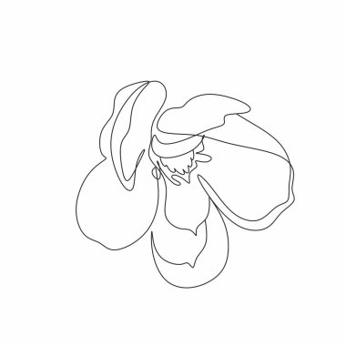 Manolya çizgisi vektörü. Çiçek Hattı sanatı. Botanik illüstrasyon