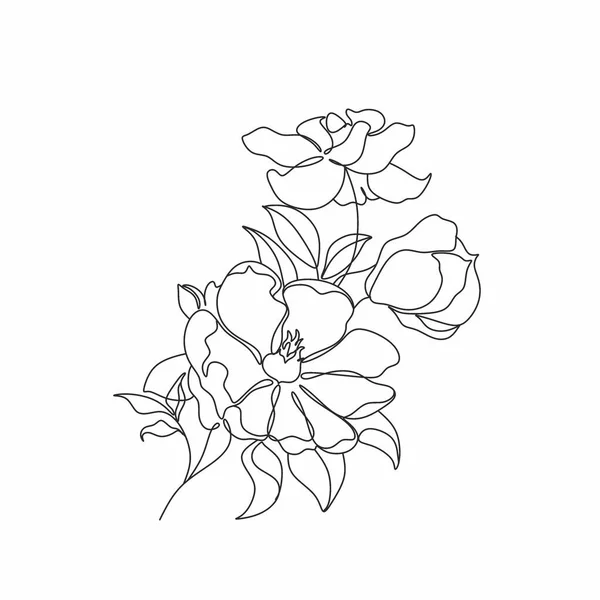 Magnolia Linha Desenho Vetor Flower Line Art Ilustração Botânica —  Vetores de Stock