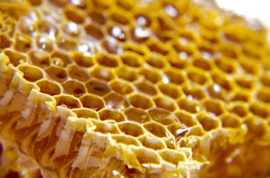 Beyaz arkaplanda bal olan bal peteği