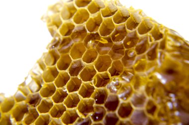 Beyaz arkaplanda bal olan bal peteği