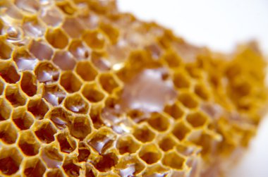 Beyaz arkaplanda bal olan bal peteği