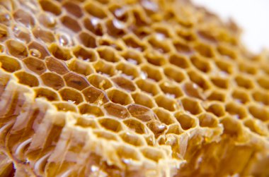 Beyaz arkaplanda bal olan bal peteği