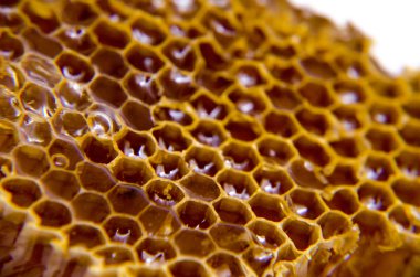 Beyaz arkaplanda bal olan bal peteği