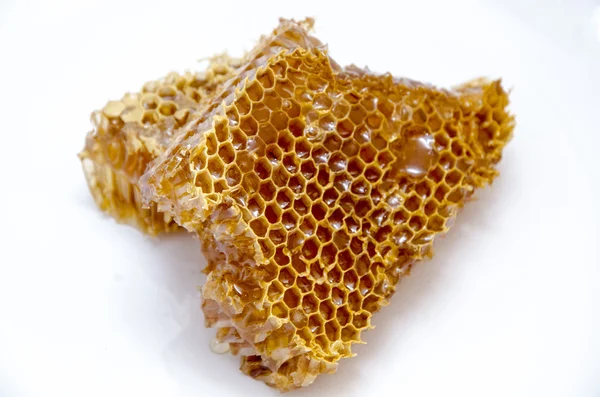 Favo de mel com mel no fundo branco — Fotografia de Stock