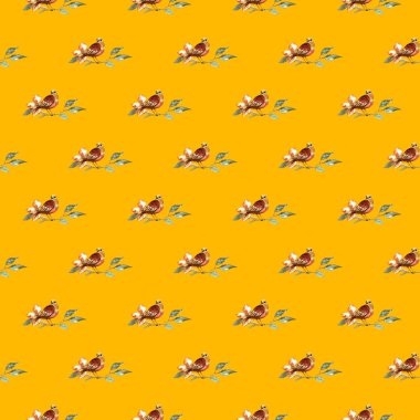 tüyler ve kuşlar seamless modeli