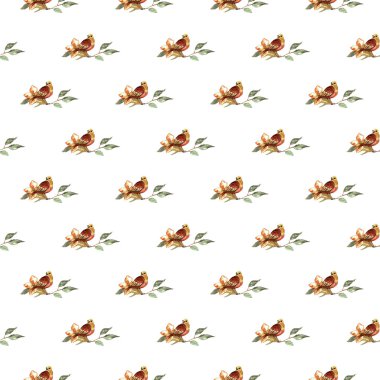 tüyler ve kuşlar seamless modeli