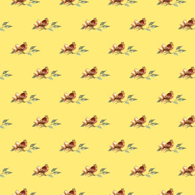 tüyler ve kuşlar seamless modeli