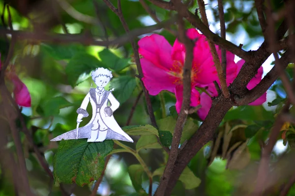 The little Prince on the rose bushes