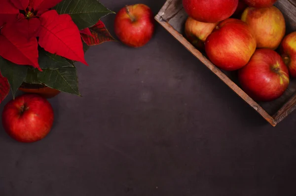 Weihnachtsrosen und Äpfel auf schwarzem Hintergrund — Stockfoto