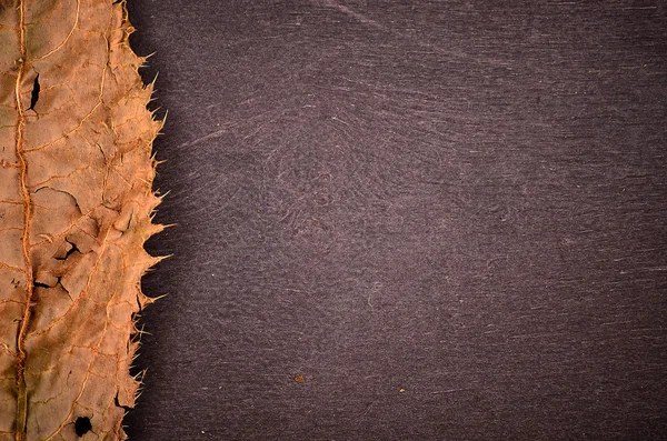 Arka plan pelin. Günbatımı ışık