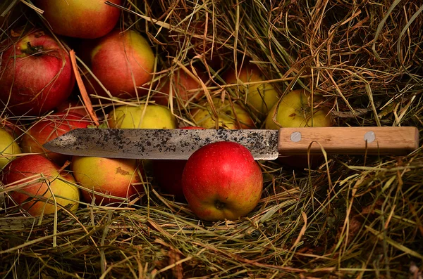 Rote Äpfel im Heu — Stockfoto