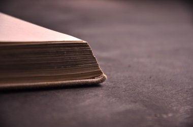 yaşlı, bilge kitabı bir ahşap zemin üzerinde yer alır.