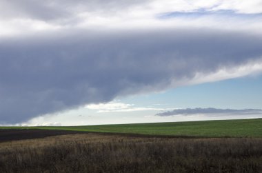 Manzara ile kalın çim alanının.
