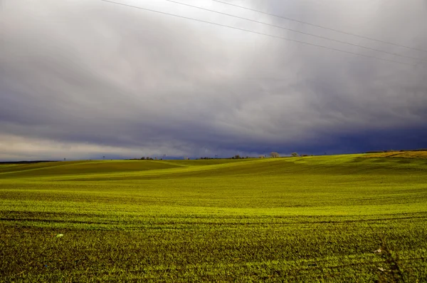 Landschaft mit dichtem Gras. Ukraine — Stockfoto