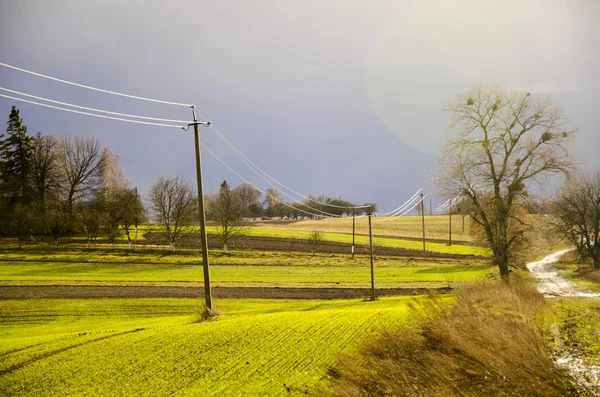 Paisagem de campo com grama grossa. Ucrânia — Fotografia de Stock