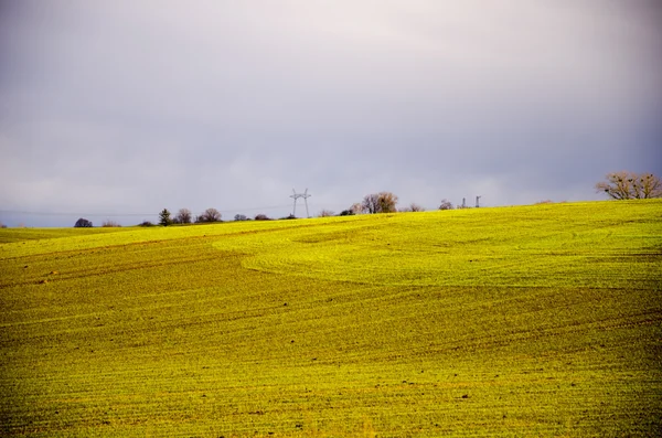 Landschaft mit dichtem Gras. Ukraine — Stockfoto