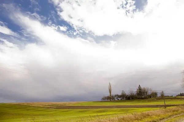 Пейзаж поля с густой травой . — стоковое фото