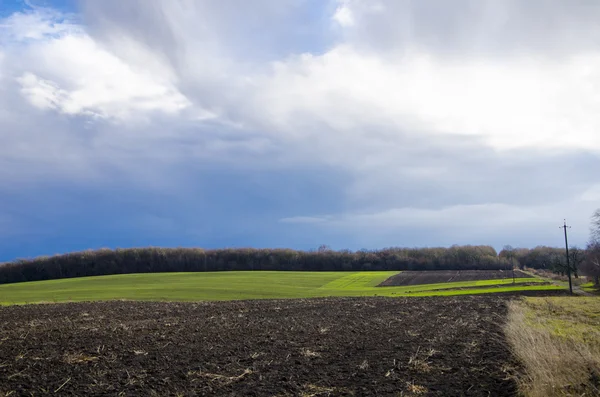 Paisagem de campo com grama grossa . — Fotografia de Stock