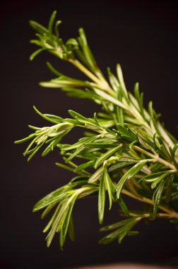 Tahtaya bağlanmış biberiye