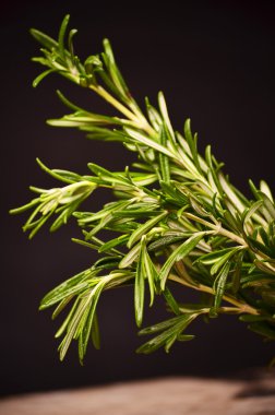 Tahtaya bağlanmış biberiye