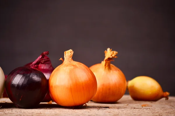 Bunte Zwiebeln auf rustikalem Holzgrund — Stockfoto