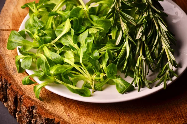 Valerianella locusta, kukuřičný Salát hlávkový — Stock fotografie