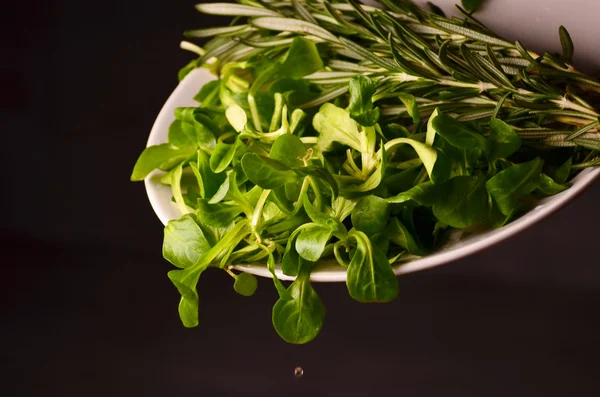 Лобуста Валерінелла, кукурудзяний салат, листя баранини — стокове фото