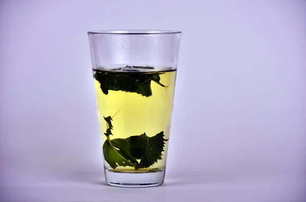 Чай с мятой и лимоном на столе — стоковое фото