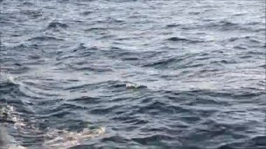 sparkles ve ışık yansımaları ile hareketli bir tekneden görünümü geçen mavi deniz suyu