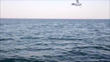 sparkles ve ışık yansımaları ile hareketli bir tekneden görünümü geçen mavi deniz suyu