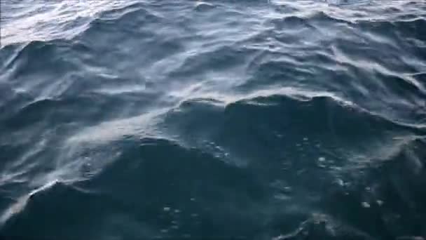 Eau de mer bleue passant vue d'un bateau en mouvement avec des étincelles et des reflets de lumière — Video