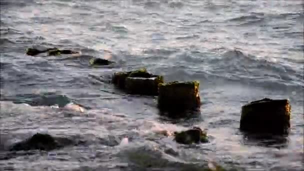 Água azul do mar vista de passagem de um barco em movimento com brilhos e reflexos de luz — Vídeo de Stock